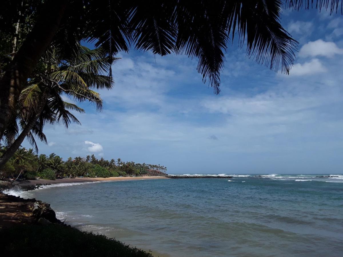 Palm Villa Mirissa Hotel&Spa Exterior photo