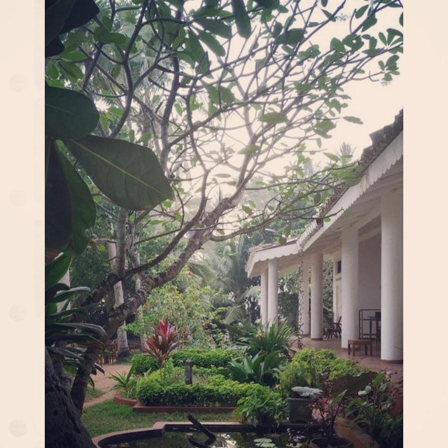 Palm Villa Mirissa Hotel&Spa Exterior photo