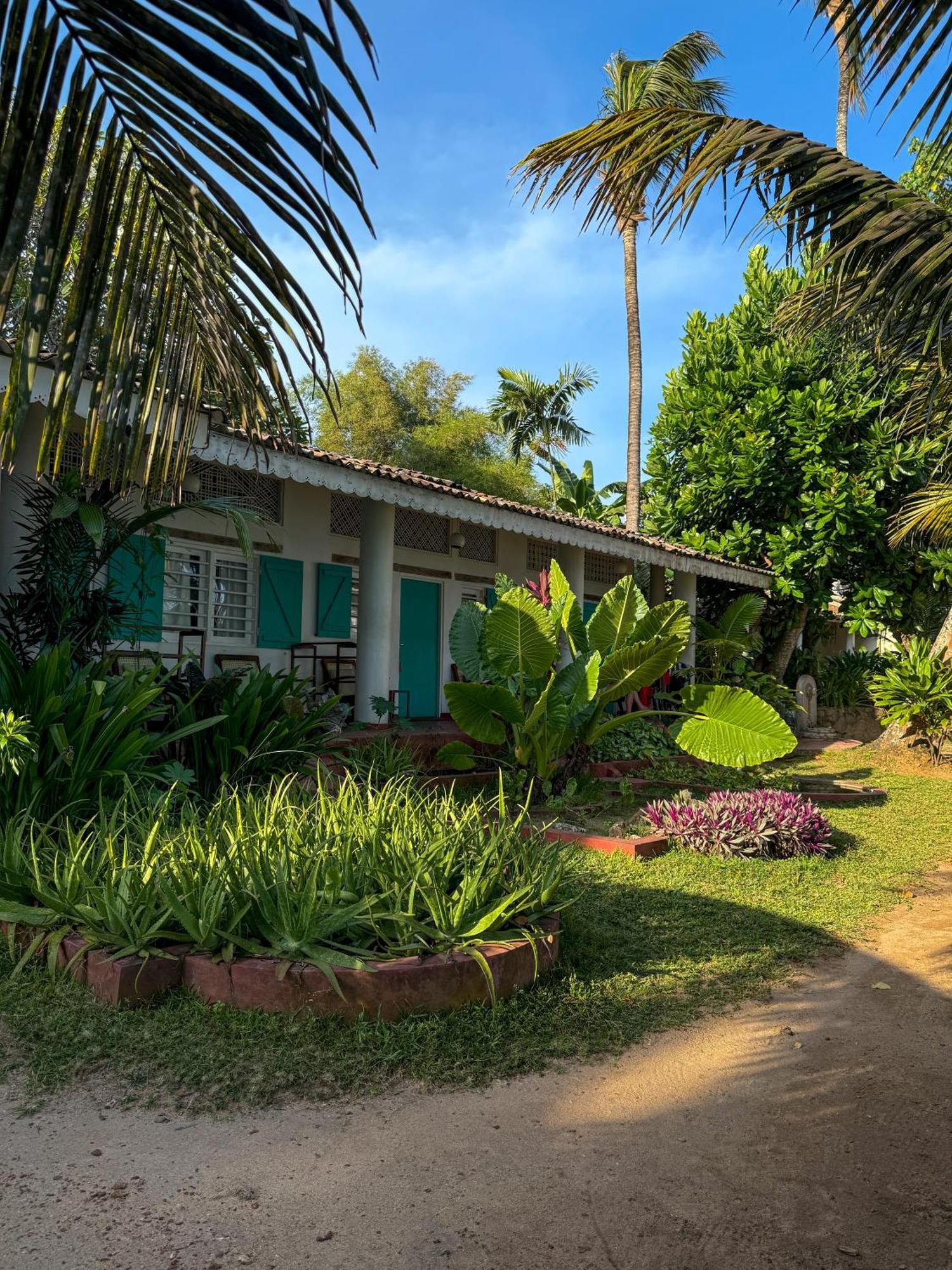 Palm Villa Mirissa Hotel&Spa Exterior photo