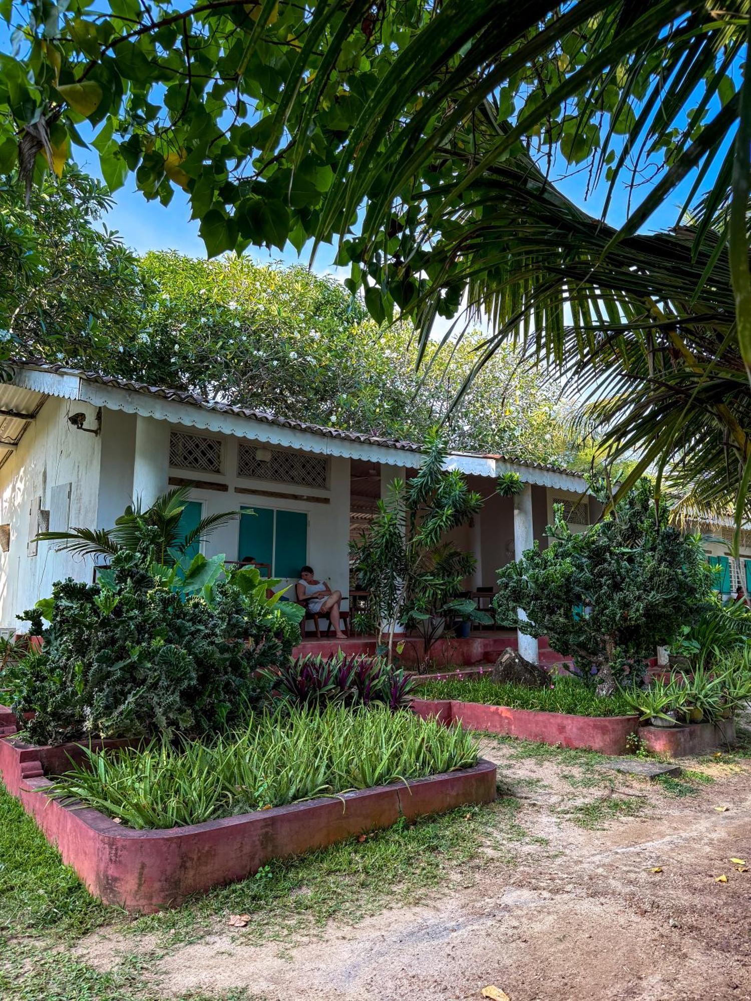 Palm Villa Mirissa Hotel&Spa Exterior photo